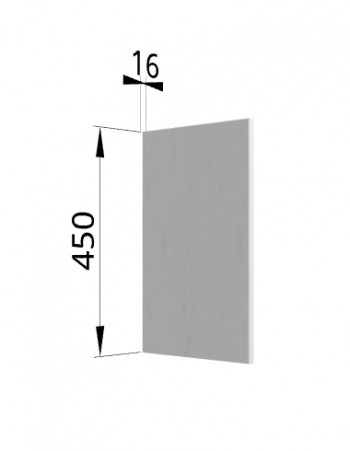 Панель торцевая (для шкафа горизонтального высокого) ВПГ Ройс (Графит софт) в Кожурле - kozhurla.mebel54.com | фото